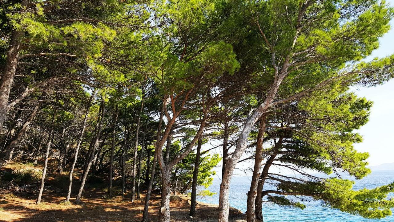 Sea Panorama Villa Mimice Esterno foto