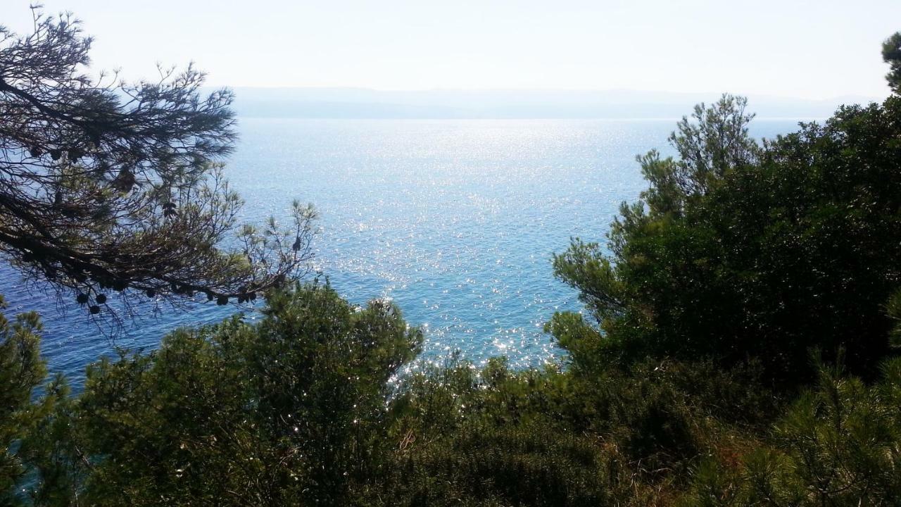 Sea Panorama Villa Mimice Esterno foto